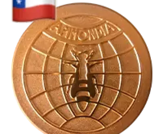 Mel Baldoni - Medalha de Bronze - APIMONDIA 2023 -
